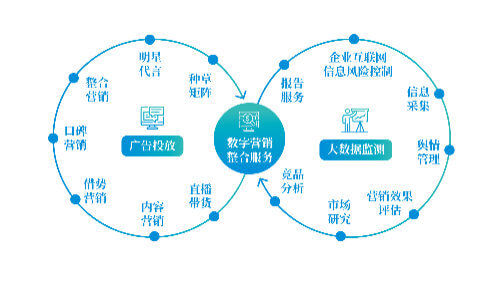 免费学编程软件手机版
